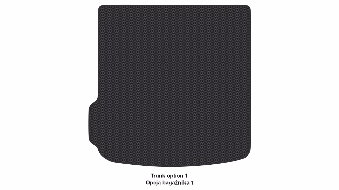 Interior mats for the Audi A4 (B9) Allroad Quattro 2016-… V generation EU Universal - Фото 3