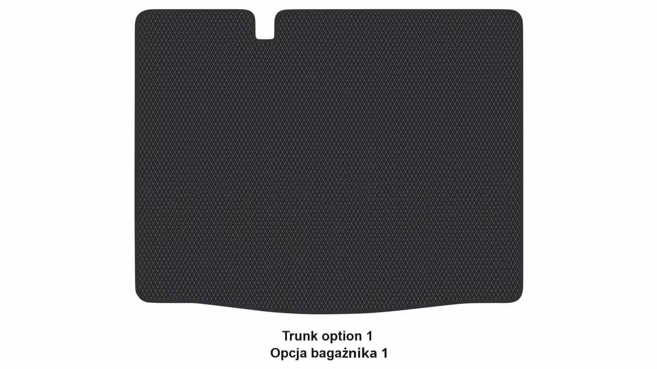 Interior mats for the Dacia Sandero (BJI) 2020-… III generation EU Crossover - Фото 3