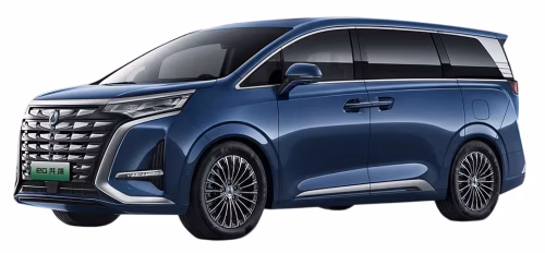 Dywaniki podłogowe do Denza D9 2022-… I generacja CN Minivan 7-miejscowy