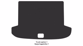 Dywaniki podłogowe do Hyundai Tucson (TL) 2015-2021 III generacja Crossover - Фото 4