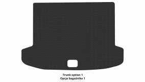 Interior mats for the Hyundai Tucson (NX4) 2021-… IV generation EU Crossover Short Hybrid - Фото 3