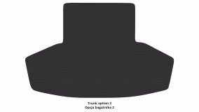 Interior mats for the Lexus GS 300 (GSR 190) 2005-2011 III generation EU Sedan - Фото 4
