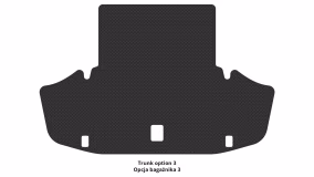 Interior mats for the Lexus GS 300 (GSR 190) 2005-2011 III generation EU Sedan - Фото 5