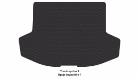 Interior mats for the Mitsubishi Lancer X Sportback 2007-2015 X generation Hatchback - Фото 3