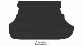 Interior mats for the Mitsubishi Lancer X 2007-2015 X generation AE Sedan - Фото 3