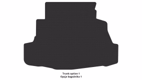 Interior mats for the Nissan Primera P12 2002-2007 III generation EU Sedan - Фото 2