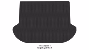 Interior mats for the Nissan Murano Z51 2008-2014 II generation Crossover - Фото 2