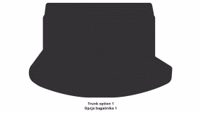 Interior mats for the Nissan Rogue 2007-2013 I generation US Crossover - Фото 2