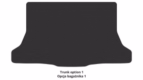 Interior mats for the Nissan Tiida C11 2004-2011 I generation EU Hatchback - Фото 2