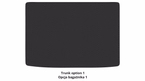 Interior mats for the Renault Clio 2005-2012 III generation EU Universal - Фото 3