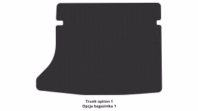 Interior mats for the Renault Duster 2010-2015 I generation EU Crossover pre-restyling - Фото 3