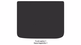 Interior mats for the Renault Scenic 1996-1999 I generation EU Minivan pre-restyling - Фото 4